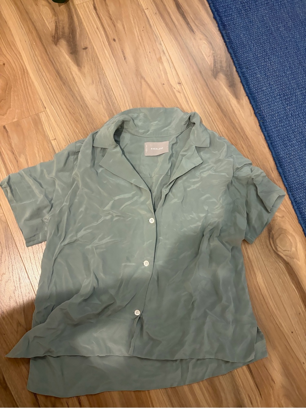 Everlane Soft Sage Green Short Sleeve Button-Down Shirt